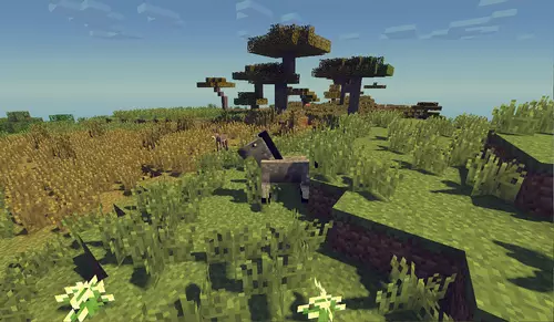 Warsztaty ekologiczne Minecraft w Zabrzu