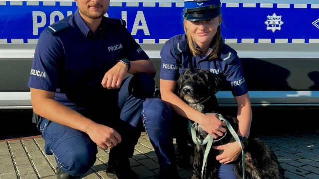 Policjanci uratowali psa z ruchliwej ulicy w Zabrzu!