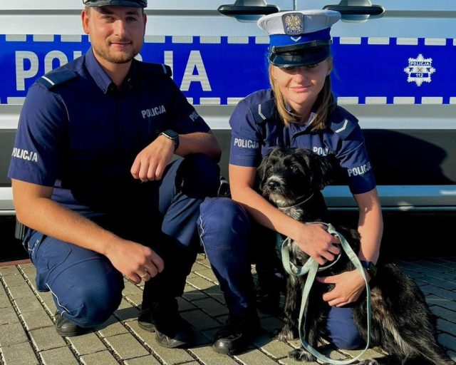 Policjanci uratowali psa z ruchliwej ulicy w Zabrzu!