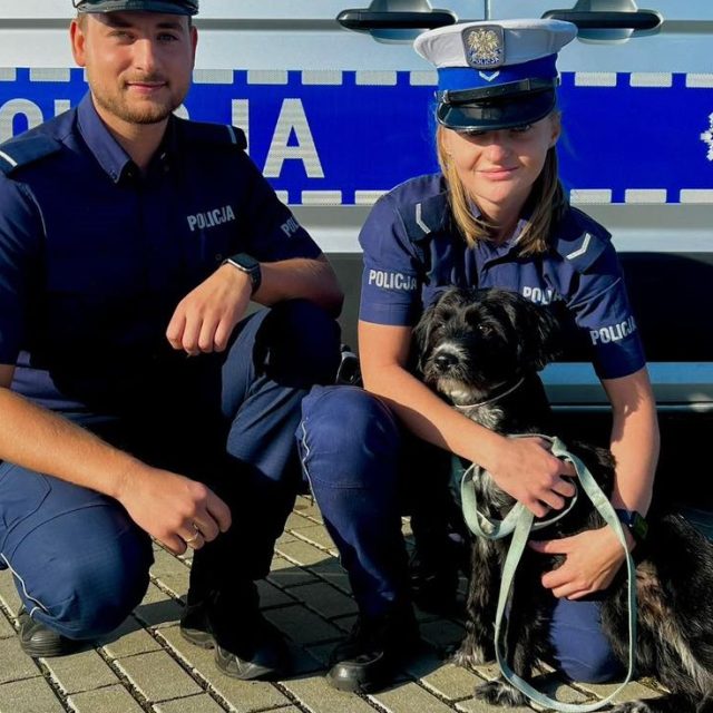 Policjanci uratowali psa z ruchliwej ulicy w Zabrzu!