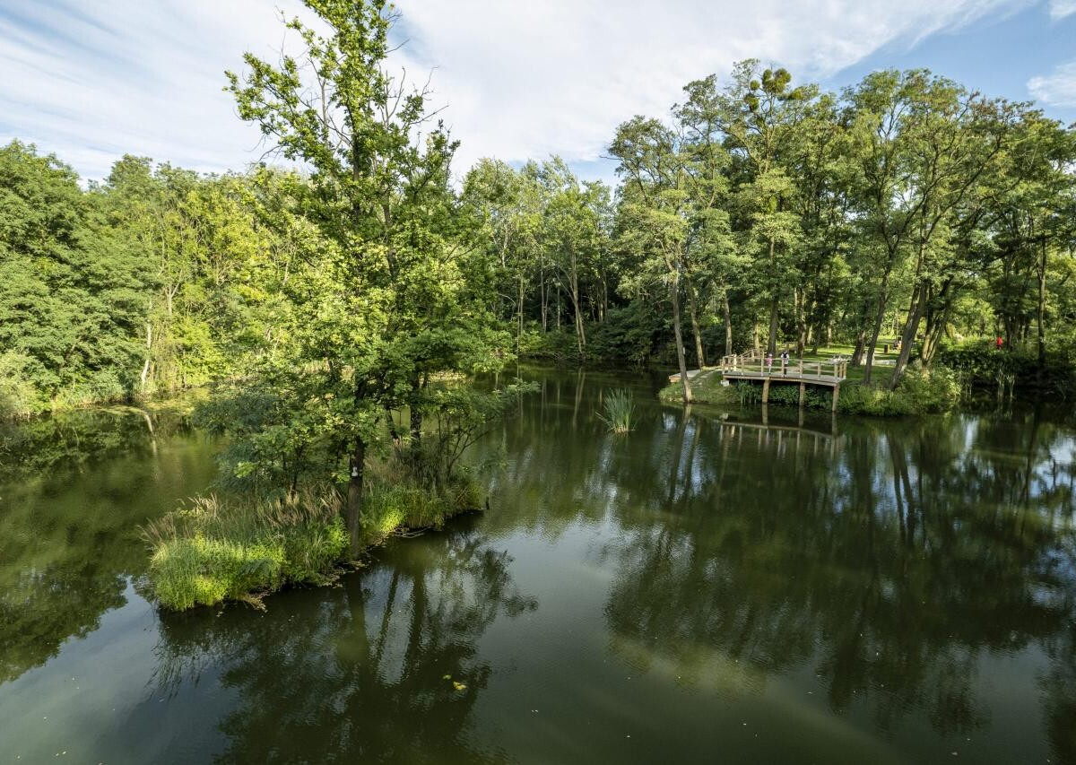 Na mapie Zabrza nie brakuje zielonych miejsc, wśród których szczególnie wart odwiedzenia jest oddany ubiegłym roku Geoparku w Grzybowicach / fot. UM Zabrze