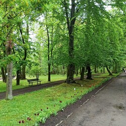 Ogród Botaniczny w Zabrzu