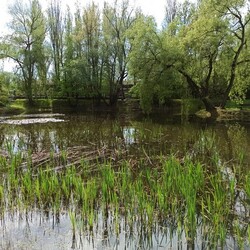 Ogród Botaniczny w Zabrzu