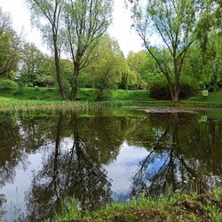 Ogród Botaniczny w Zabrzu