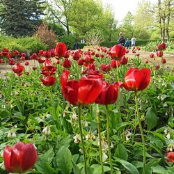 Ogród Botaniczny w Zabrzu