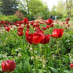 Ogród Botaniczny w Zabrzu