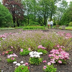 Ogród Botaniczny w Zabrzu