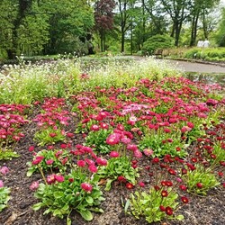 Ogród Botaniczny w Zabrzu