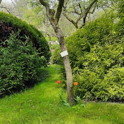 Otwarcie ogrodu botanicznego