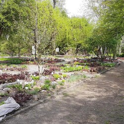 Otwarcie ogrodu botanicznego