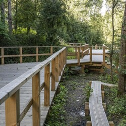  Geopark w Grzybowicach