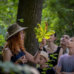 Botaniczna Scena Premier