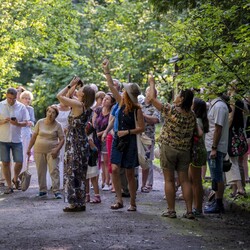 Botaniczna Scena Premier