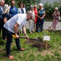 Posadzenie Dębu Pokoju