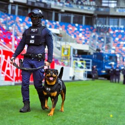 Śląscy policjanci ćwiczyli na zabrzańskim stadionie