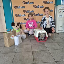 Ostatnie adopcje w Zabrzu