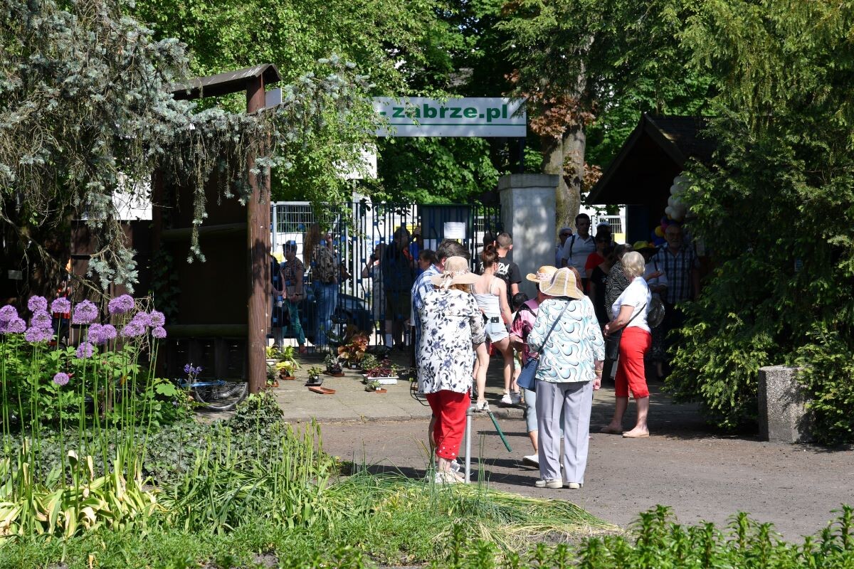 Botaniczna Scena Premier 2024 w Zabrzu / fot. Jacek Knapik