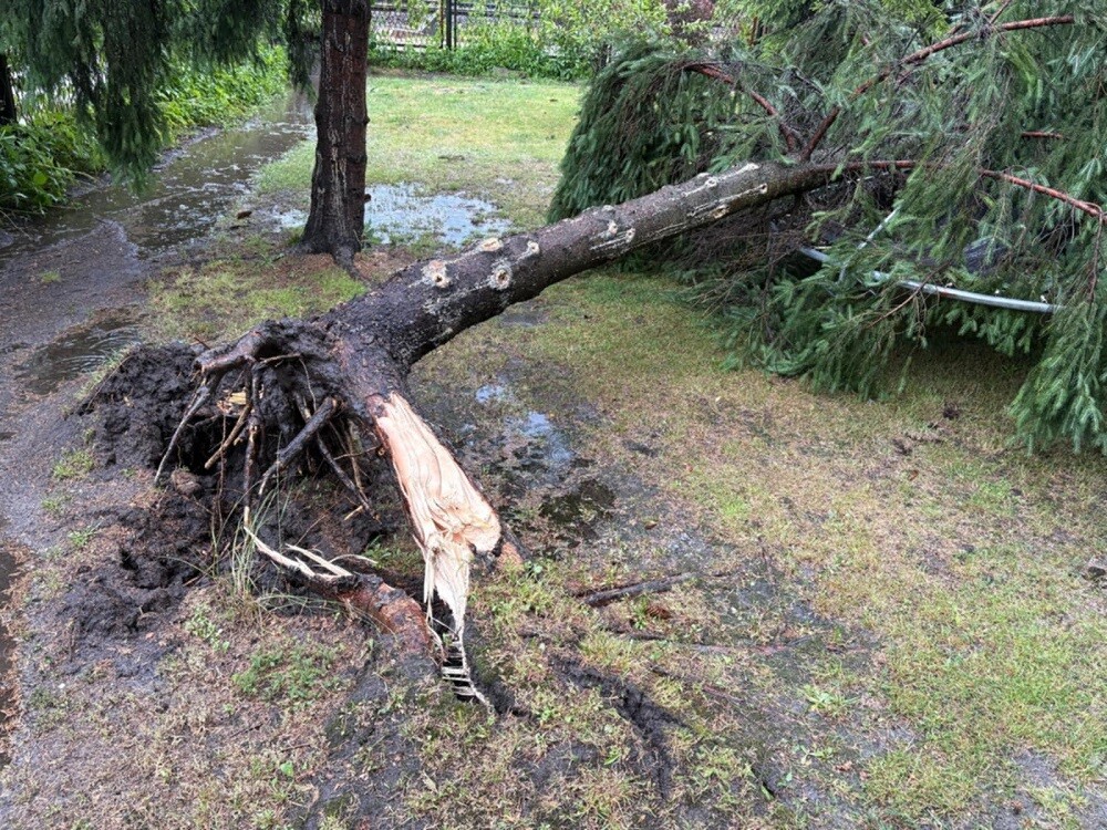 Burza w Zabrzu z 23 na 24 czerwca spowodowała poważne zniszczenia. Służby ratunkowe przeprowadziły 52 interwencje / fot. czytelnik