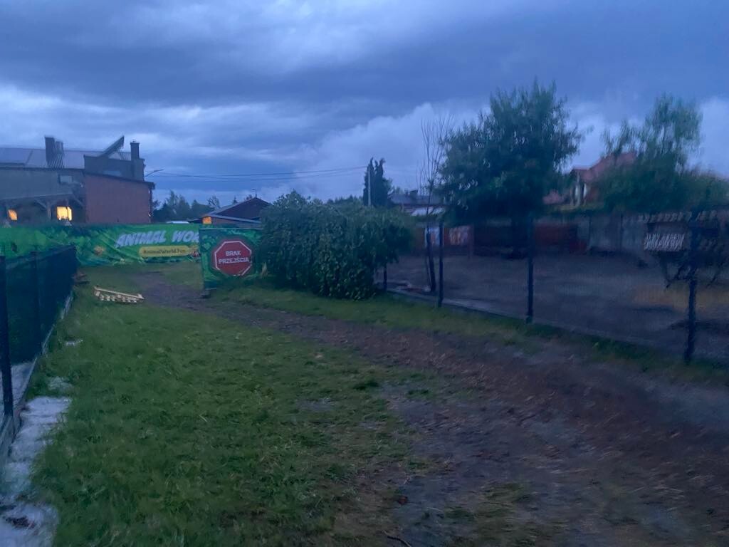 Burza w Zabrzu z 23 na 24 czerwca spowodowała poważne zniszczenia. Służby ratunkowe przeprowadziły 52 interwencje / fot. czytelnik