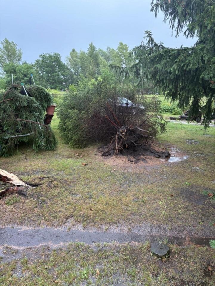 Burza w Zabrzu z 23 na 24 czerwca spowodowała poważne zniszczenia. Służby ratunkowe przeprowadziły 52 interwencje / fot. czytelnik