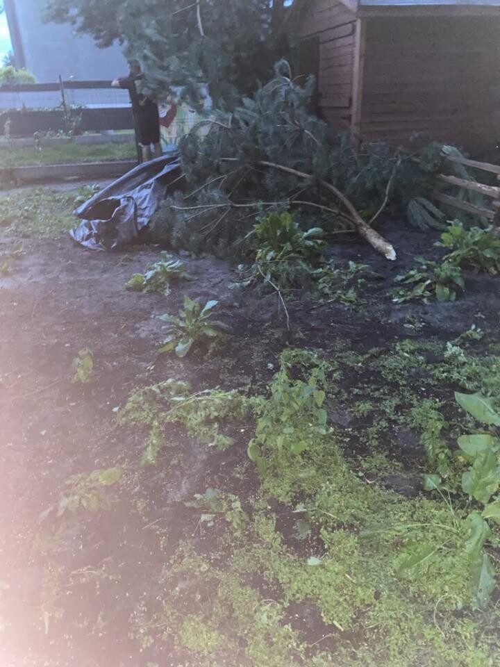 Burza w Zabrzu z 23 na 24 czerwca spowodowała poważne zniszczenia. Służby ratunkowe przeprowadziły 52 interwencje / fot. czytelnik