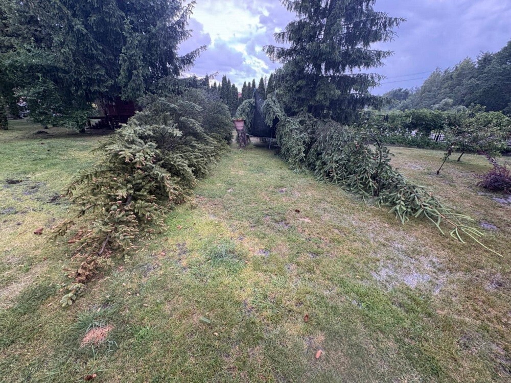 Burza w Zabrzu z 23 na 24 czerwca spowodowała poważne zniszczenia. Służby ratunkowe przeprowadziły 52 interwencje / fot. czytelnik