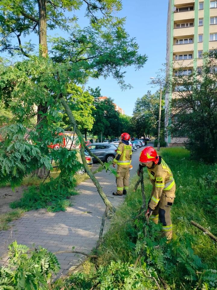 Burza w Zabrzu z 23 na 24 czerwca spowodowała poważne zniszczenia / fot. PSP Zabrze