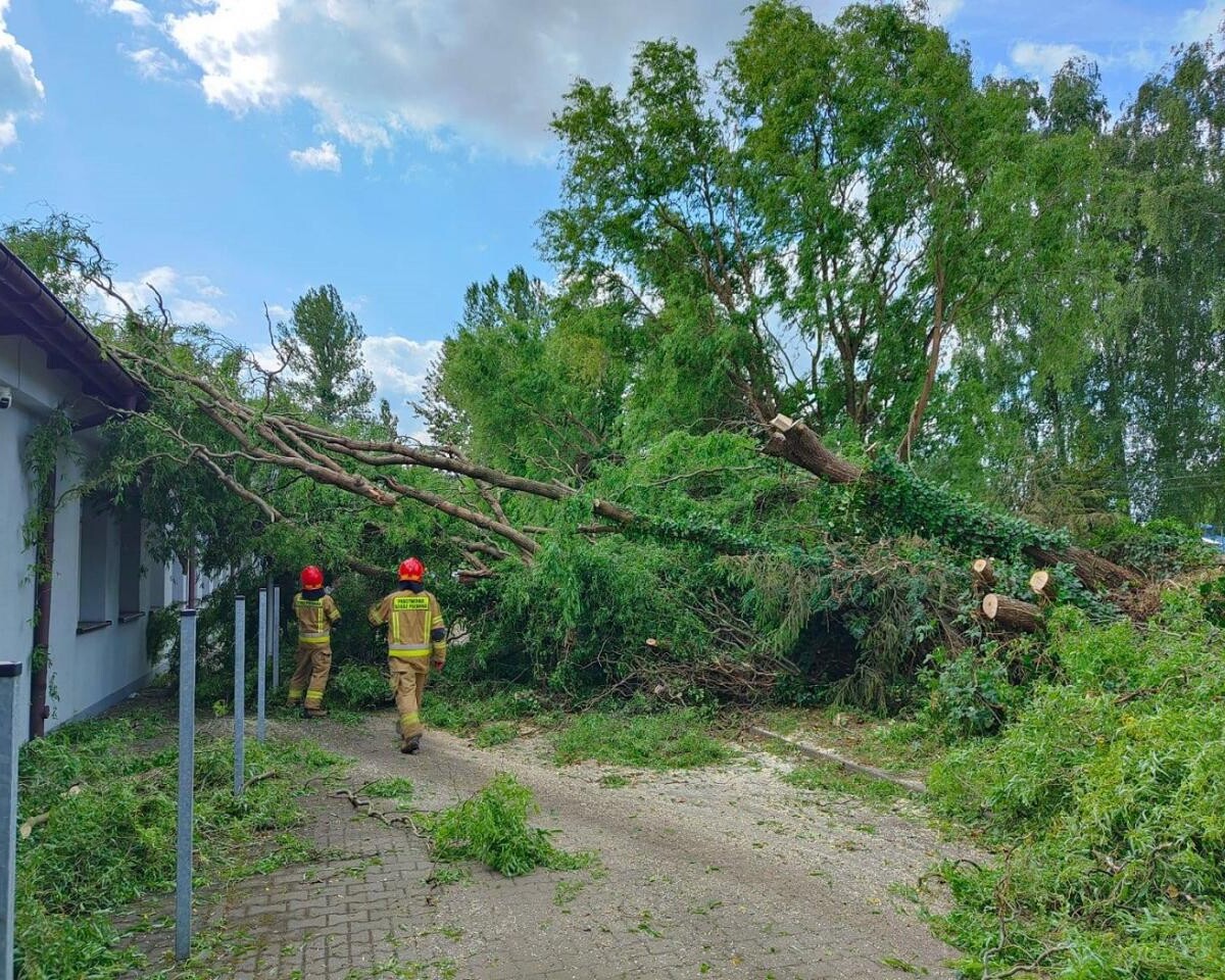 Burza w Zabrzu z 23 na 24 czerwca spowodowała poważne zniszczenia / fot. PSP Zabrze
