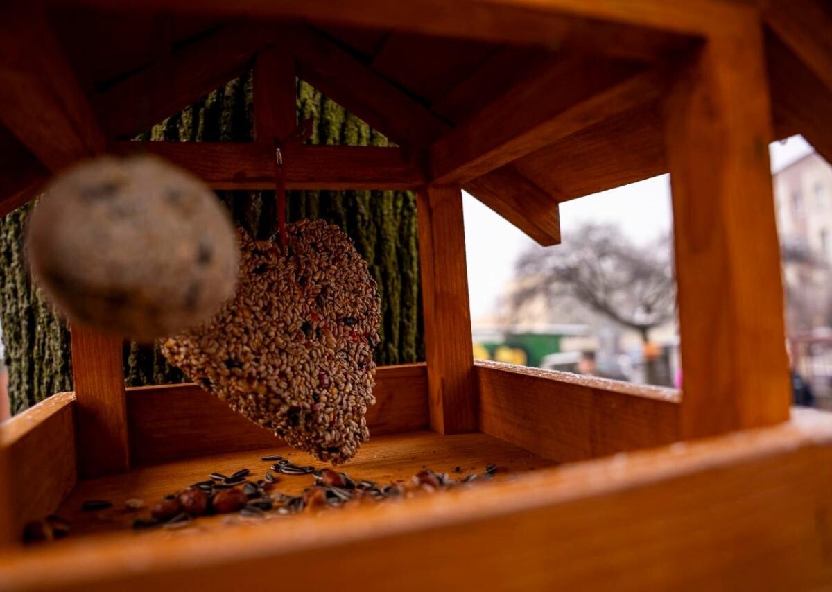 W Szkole Podstawowej nr 30 w zabrzańskiej dzielnicy Helenka otwarto Eko pracownię „Pod chmurką”.