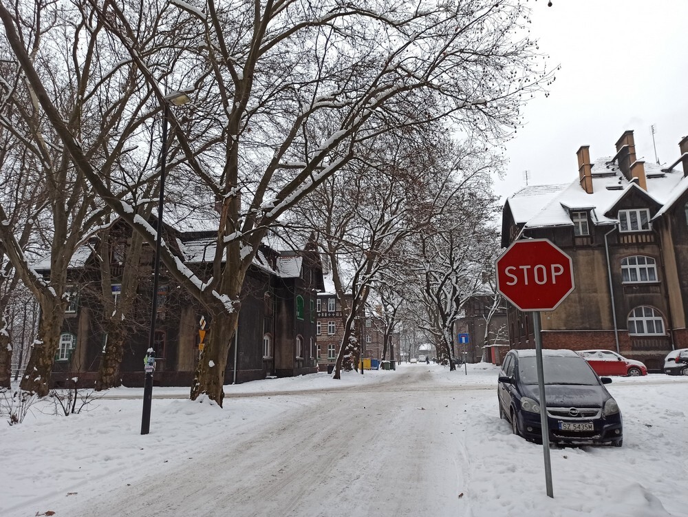 Zandka to perełka architektoniczna Zabrza. Osiedle patronackie huty "Donnersmarck" pochodzi z początku WW wieku. Zobaczcie zdjęcia!