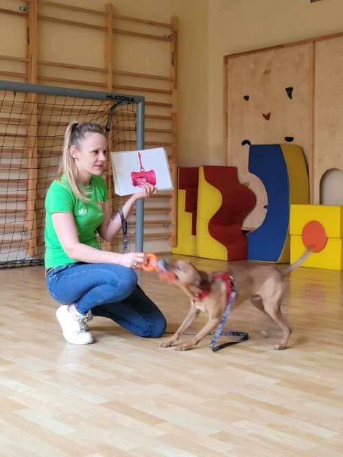 Psi edukator Leoś odwiedził Przedszkole nr 49 w Zabrzu / fot. Przedszkole nr 49 w Zabrzu