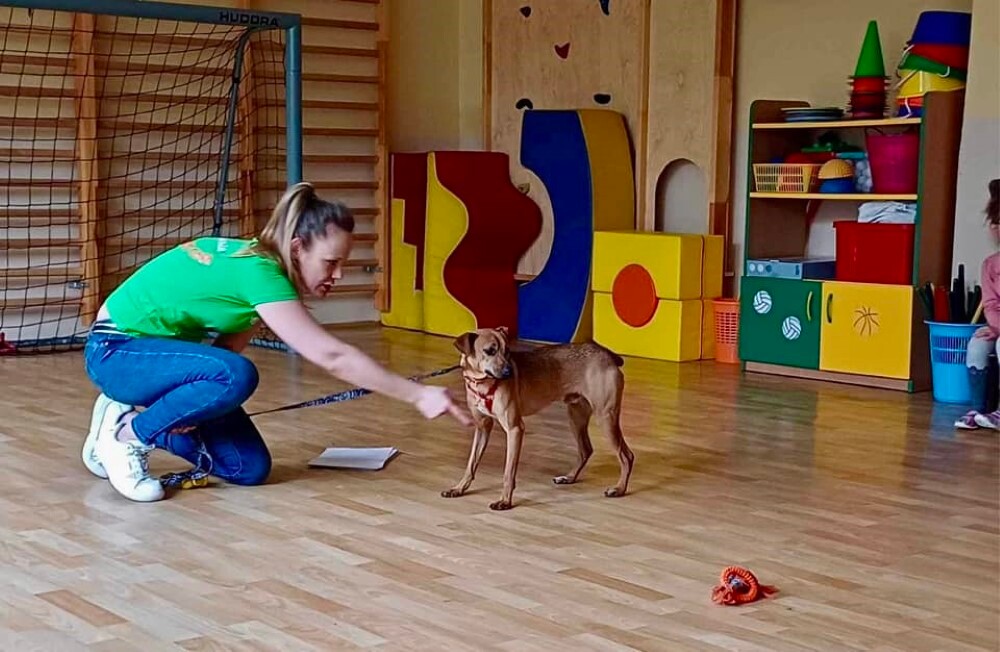 Psi edukator Leoś odwiedził Przedszkole nr 49 w Zabrzu / fot. Przedszkole nr 49 w Zabrzu