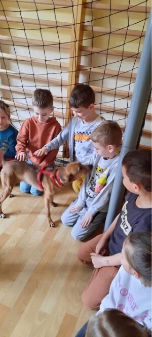 Psi edukator Leoś odwiedził Przedszkole nr 49 w Zabrzu / fot. Przedszkole nr 49 w Zabrzu