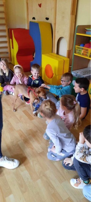 Psi edukator Leoś odwiedził Przedszkole nr 49 w Zabrzu / fot. Przedszkole nr 49 w Zabrzu