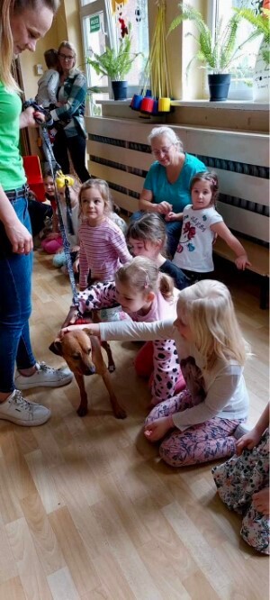 Psi edukator Leoś odwiedził Przedszkole nr 49 w Zabrzu / fot. Przedszkole nr 49 w Zabrzu