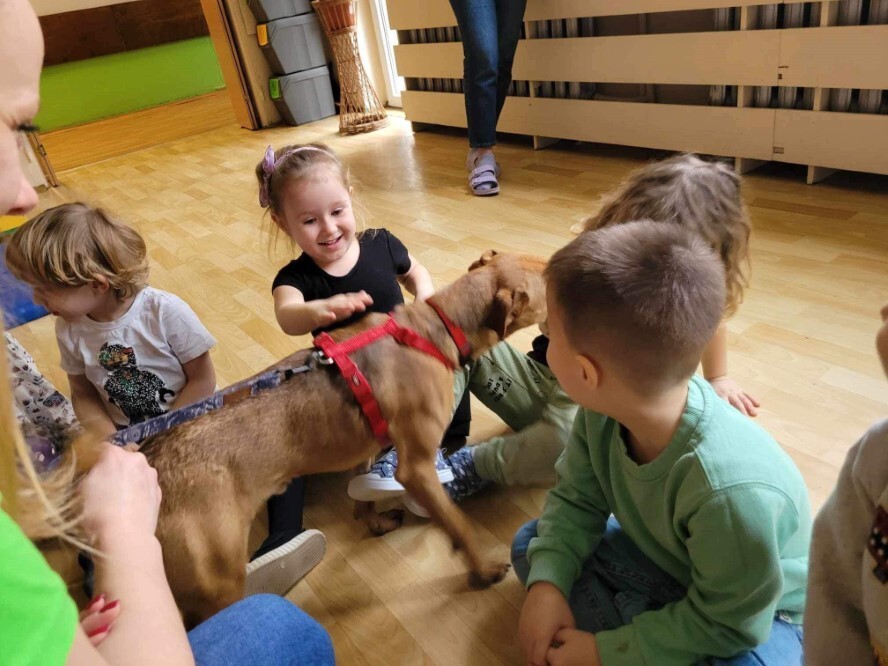 Psi edukator Leoś odwiedził Przedszkole nr 49 w Zabrzu / fot. Przedszkole nr 49 w Zabrzu