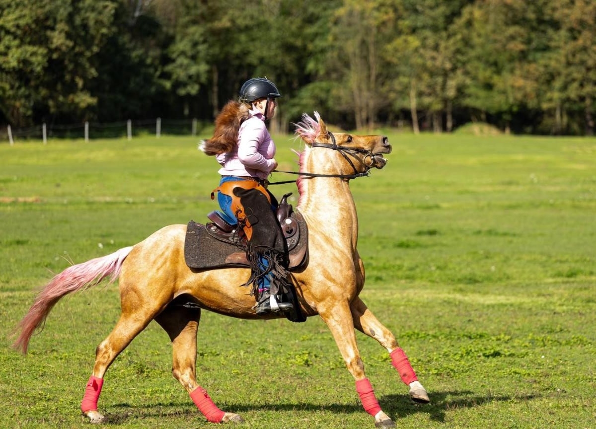 W miniony weekend w Zabrzu odbyła się kolejna edycja święta Hubertus, organizowana przez Miejski Ośrodek Sportu i Rekreacji oraz Klub Jeździecki Maciejówka MOSiR Zabrze / fot. Urząd Miasta