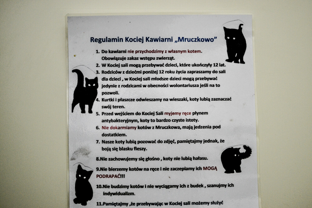 Byliśmy, zobaczyliśmy, kawę piliśmy. Jest dobrze, a ma być jeszcze lepiej! Nowy lokal - Mruczkowo - kocia kawiarnia, działa już na pełnych obrotach.
