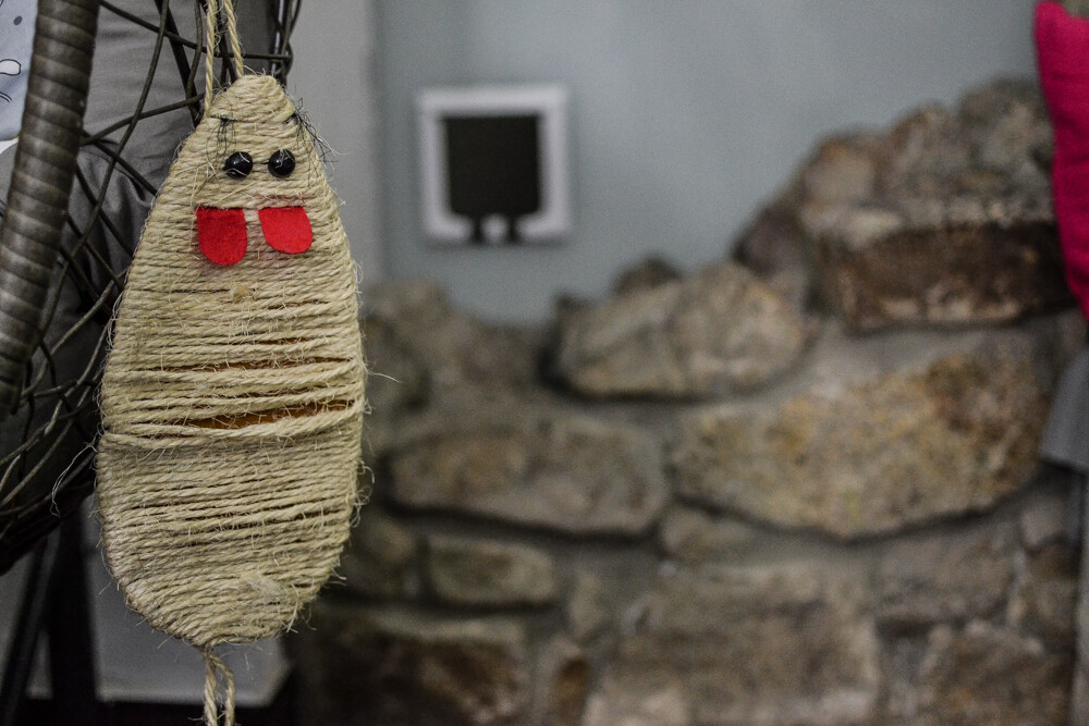 Byliśmy, zobaczyliśmy, kawę piliśmy. Jest dobrze, a ma być jeszcze lepiej! Nowy lokal - Mruczkowo - kocia kawiarnia, działa już na pełnych obrotach.