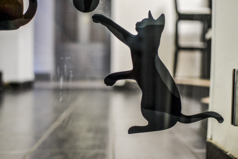 Byliśmy, zobaczyliśmy, kawę piliśmy. Jest dobrze, a ma być jeszcze lepiej! Nowy lokal - Mruczkowo - kocia kawiarnia, działa już na pełnych obrotach.