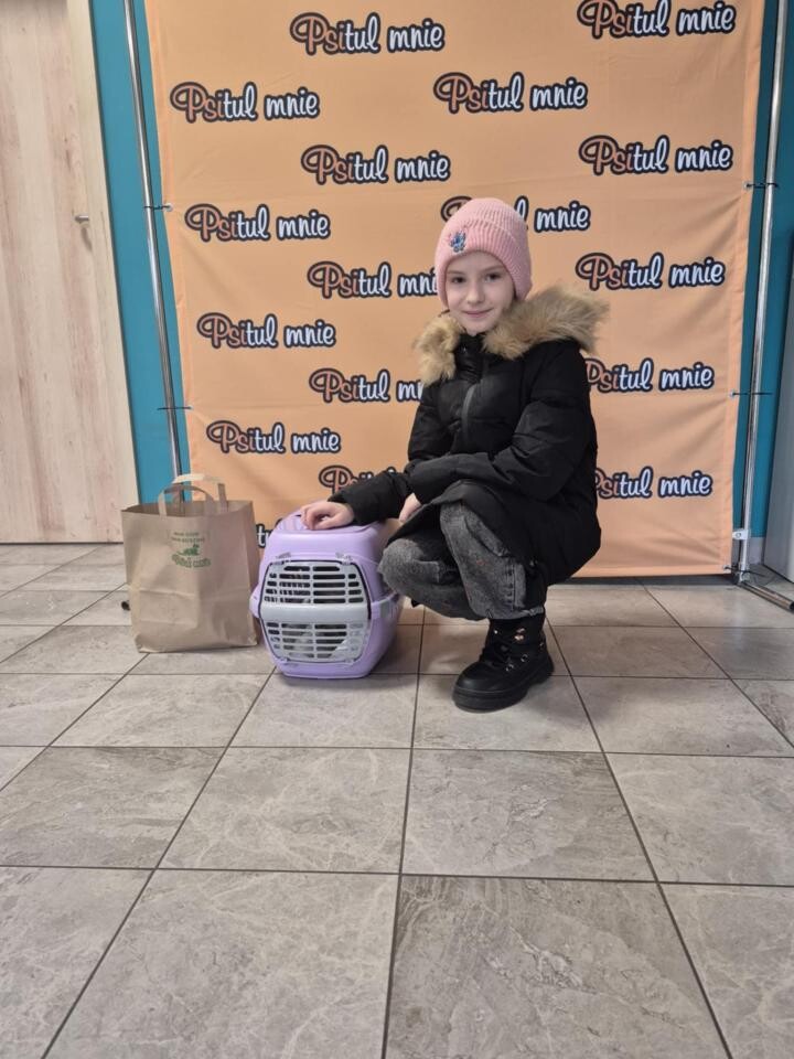 Poznaj historie ostatnich adopcji czworonogów z Psitulmnie, które znalazły swoje kochające rodziny / fot. Psitulmnie