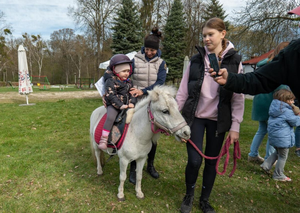 Kulturalny Zając 2025 na Kąpielisku Leśnym w Zabrzu przyciągnął tłumy / fot. UM Zabrze