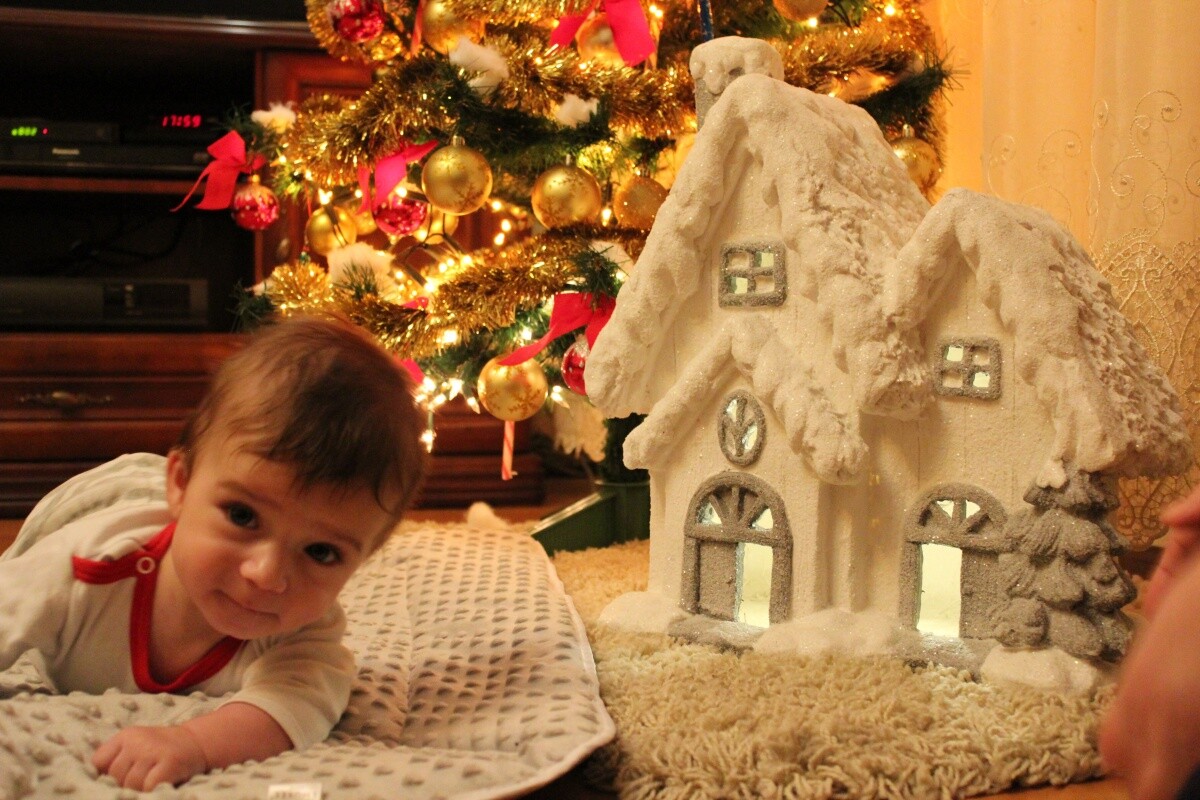 Wnuczek Adrianek patrzy na dziadka i myśli, jak nie zrobisz mi tego zdjęcia to zaraz się położę na boku.
Adrian, urodzony 15 09 2018
dzielnica: Zabrze