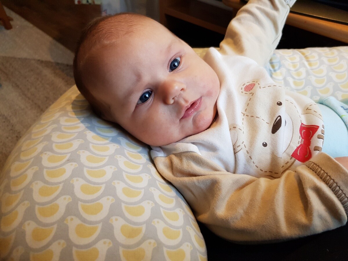 Piotr Henryk Kukla 14.11.2018
dzielnica: Zabrze centrum