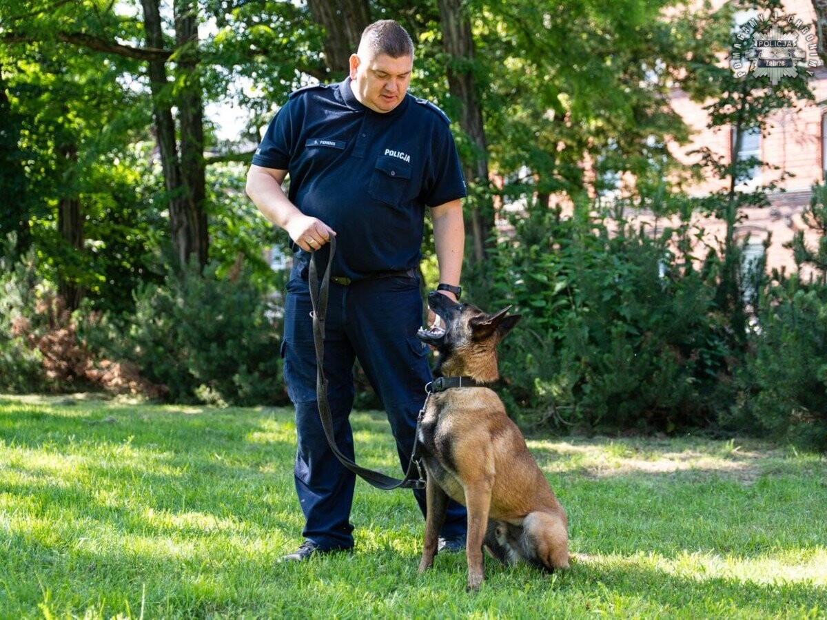 Nowy pies w zabrzańskiej Policji / fot. KMP Zabrze