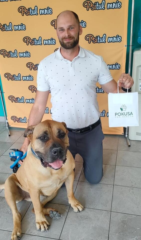 Zabrzańskie schronisko podsumowało ostatnie adopcje / fot. Psitulmnie