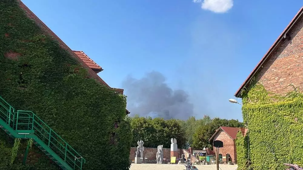 Pożar w Zabrzu: Płoną trawy i śmieci na terenach przy ulicy Sierakowskiego. / fot. Magdalena Świerczek