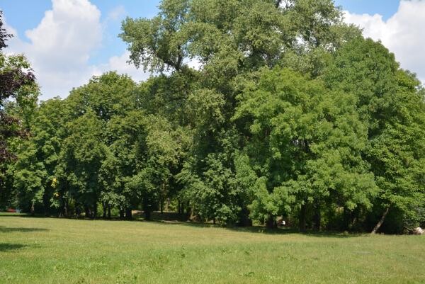 Rewitalizacja Parku im. Poległych Bohaterów