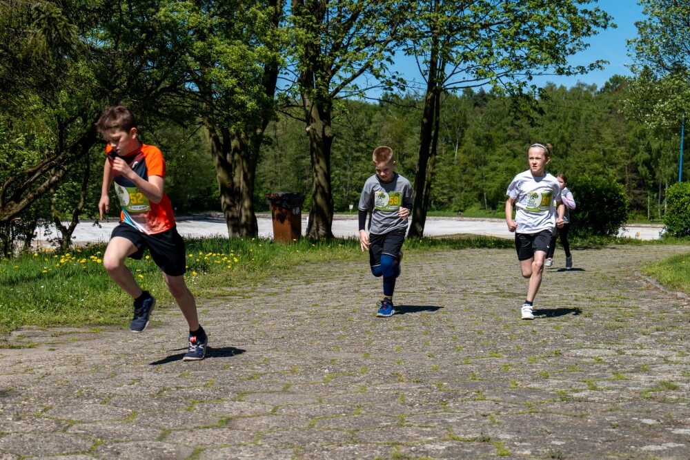 Sportowe emocje w Zabrzu. Bieg Tropem Wiosny za nami!