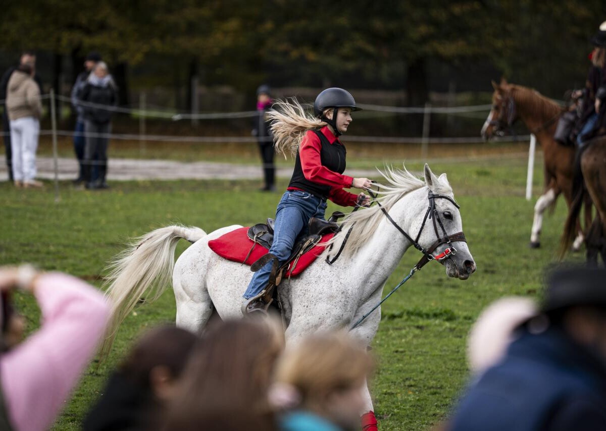 Miniony weekend w Zabrzu obfitował w emocje i artystyczne wydarzenia / fot. UM Zabrze